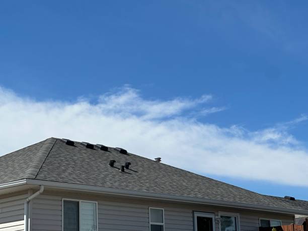Best Asphalt Shingle Roofing  in Rocklin, CA